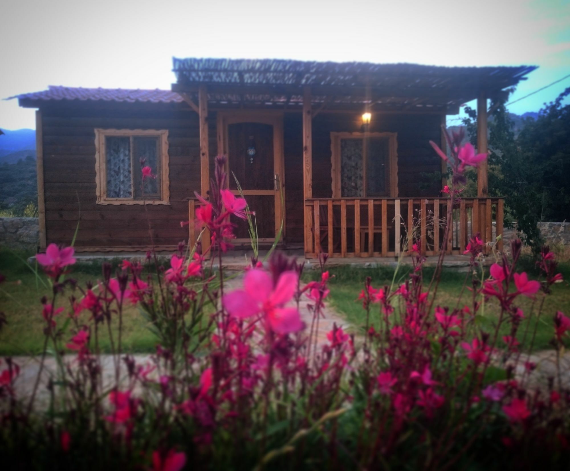 Ipekce Tatil Evleri Mesudiye  Exterior foto